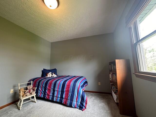 3975 Hyatts Road Powell, OH 43065 - Photo 19 of 41 Bedroom #3 with Center Ceiling Light.
