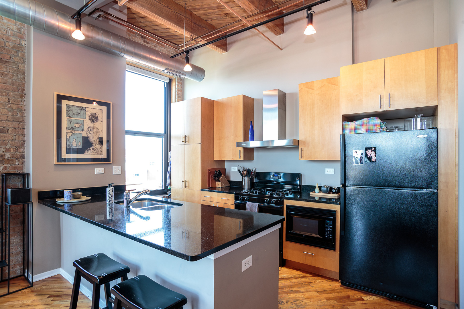 1040 West Adams Street, Unit 462 Chicago, IL 60607 - Photo 6 of 27