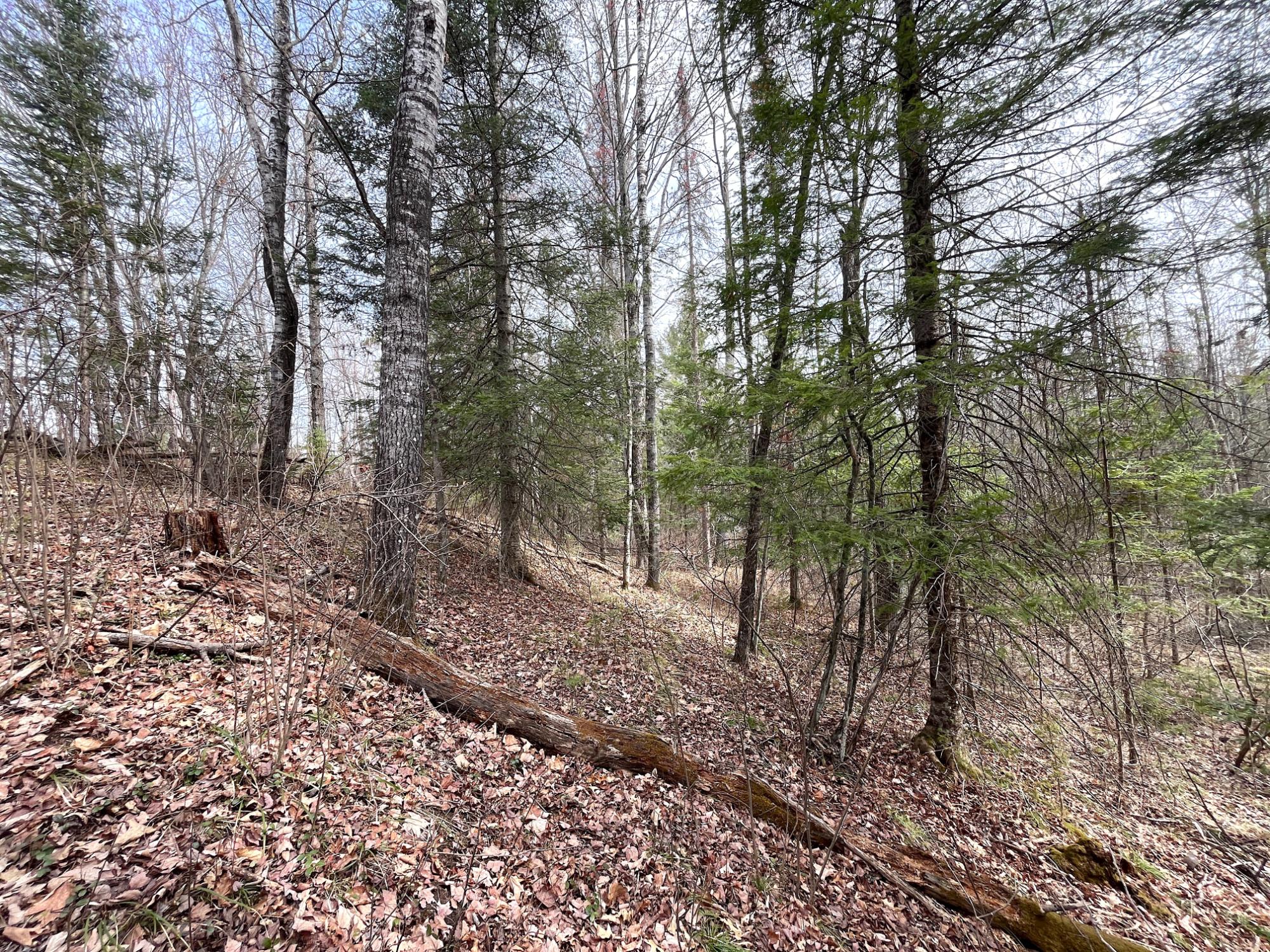 W8080 East Cataline Road Pembine, WI 54156 - Photo 29 of 47 Gallery Image 29