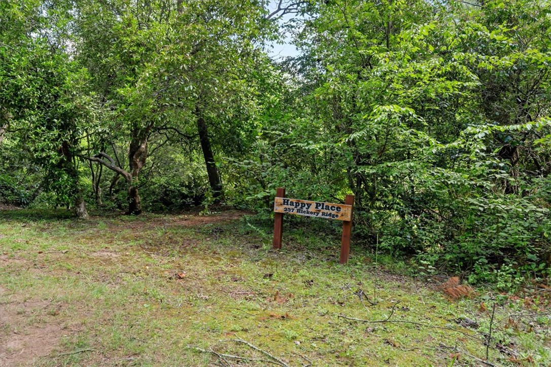 237 Hickory Ridge Mountain Rest, SC 29664 - Photo 2 of 38