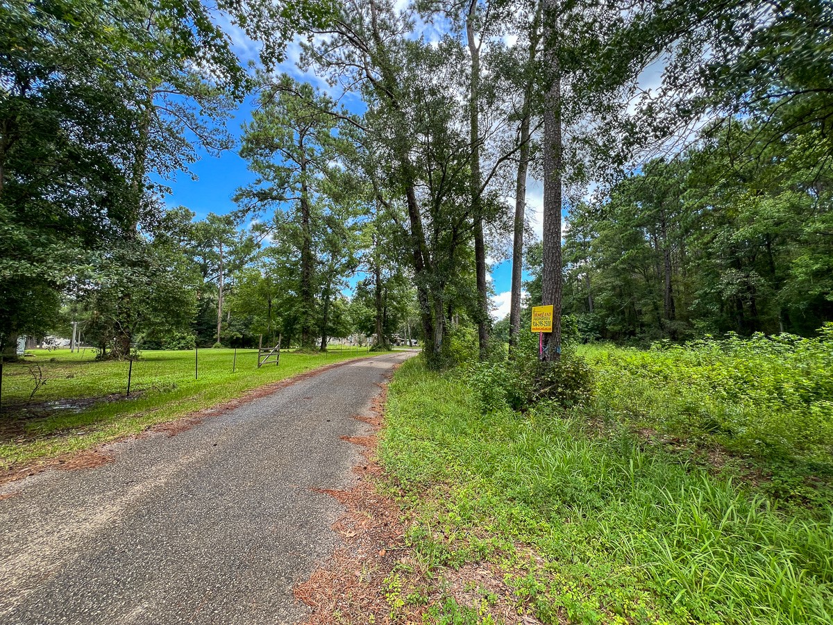 0 Ellis Lane Vidor, TX 77662 - Photo 9 of 13 a view of a park with large trees