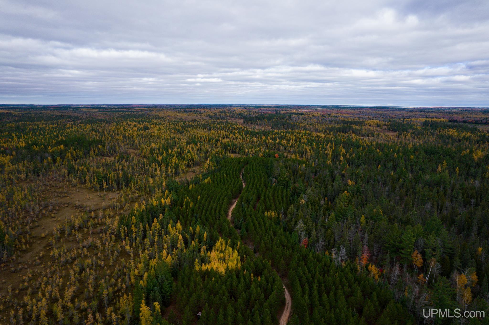 160 Acres Stella Lake Road Wetmore, MI 49895 - Photo 3 of 28