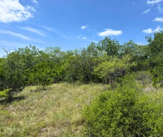 $68,000 | 0 County Road 334, Beeville, TX 78102