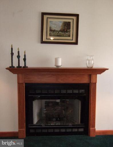 8490 North Point Road Manassas, VA 20112 - Photo 21 of 28 Fireplace