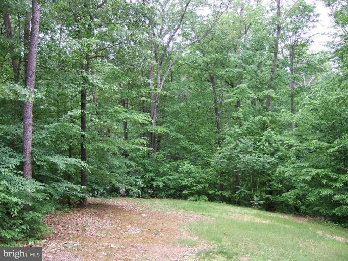 8490 North Point Road Manassas, VA 20112 - Photo 7 of 28 Wooded View / Acreage