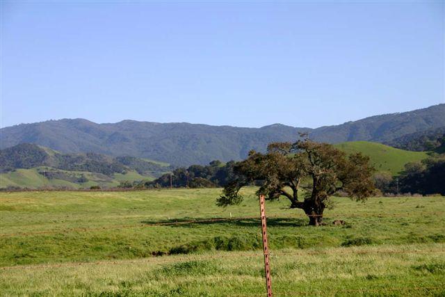 Southeast Facing 40 Acre Vineyard