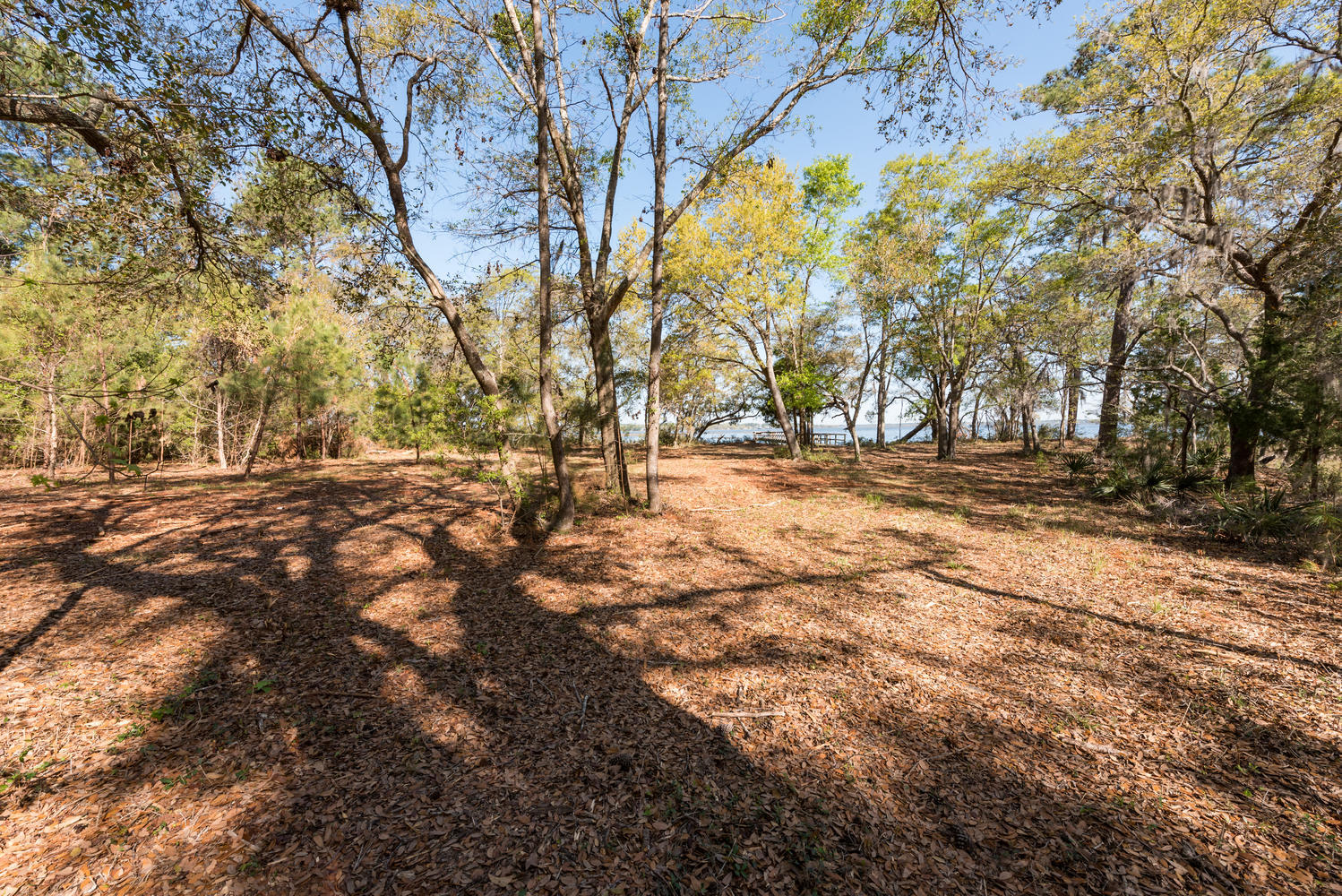 29 Josie Ridge Road Wadmalaw Island, SC 29487 - Photo 22 of 37 29 Josie Ridge Rd