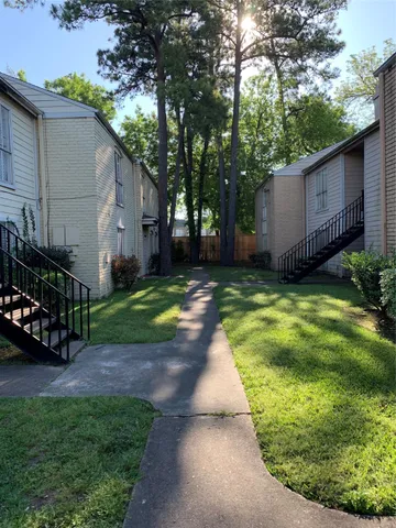 a view of a backyard with plants and large trees