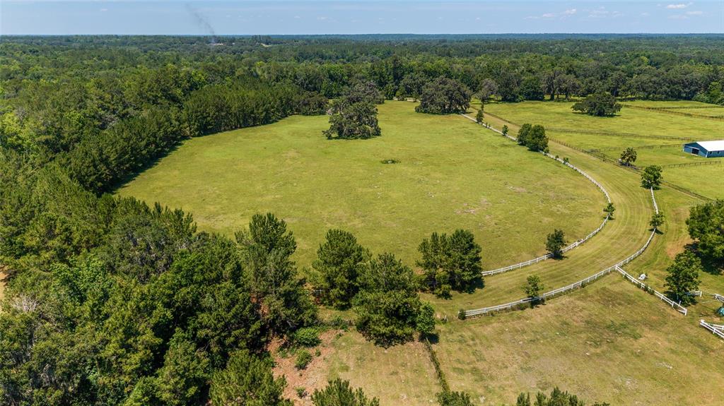 16490 Northwest 122nd Terrace Reddick, FL 32686 - Photo 10 of 24 a view of a swimming pool with a yard