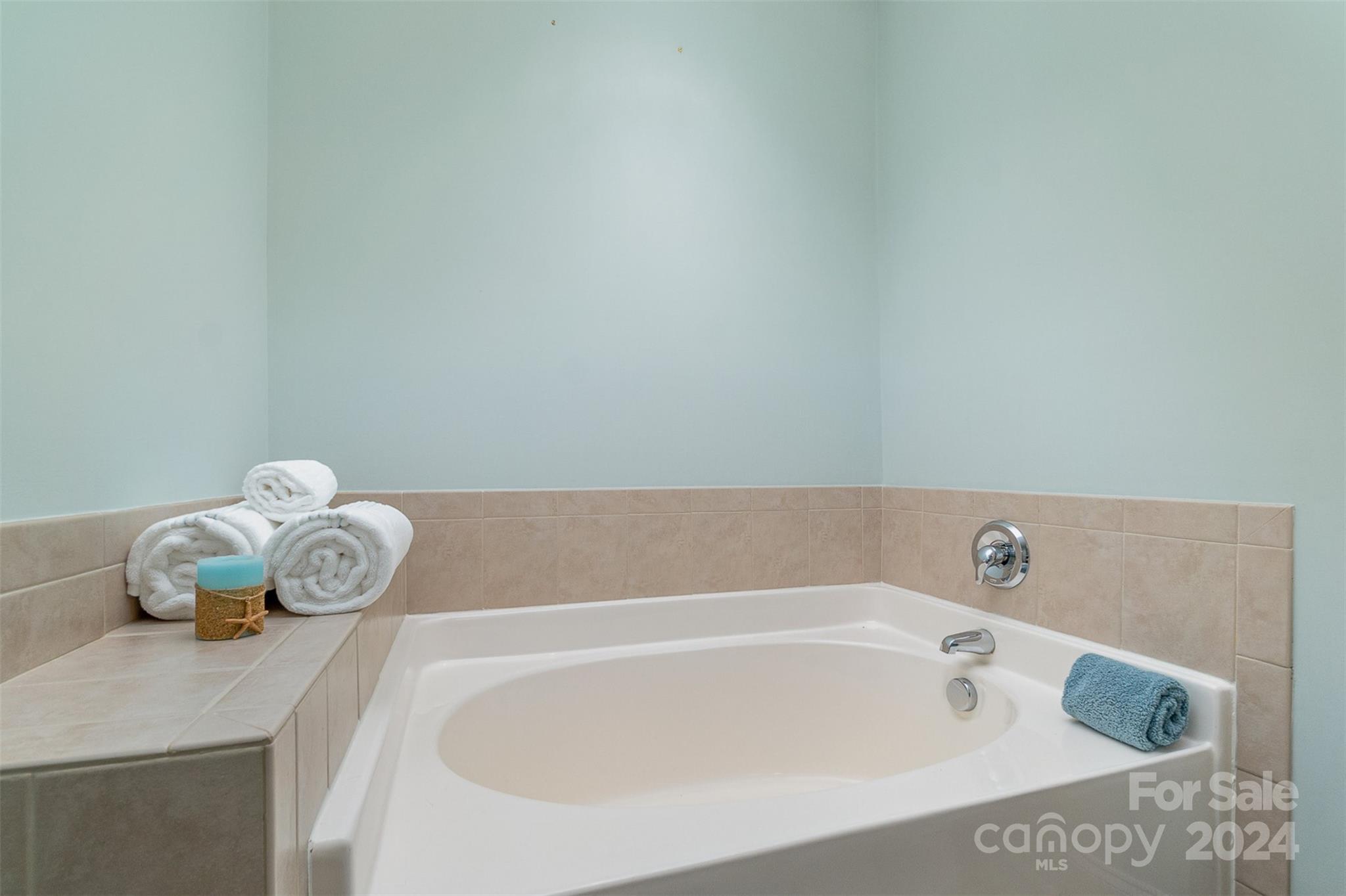 8653 Edinburgh Square Drive Cornelius, NC 28031 - Photo 9 of 22 a bathroom with a tub