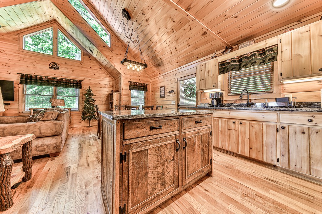 88 Black Gum Lane Blue Ridge, GA 30513 - Photo 23 of 85 a kitchen with stainless steel appliances granite countertop a stove a sink dishwasher and cabinets with wooden floor