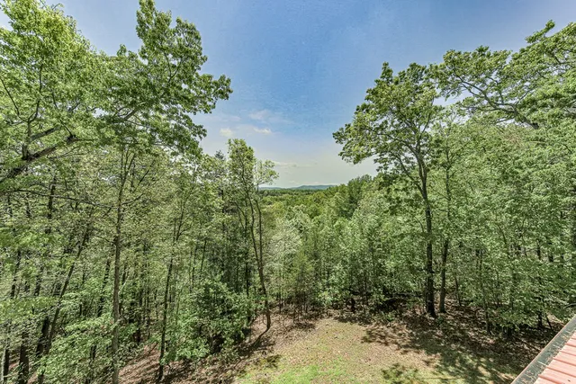 $7,000 | 88 Black Gum Lane, Blue Ridge, GA 30513