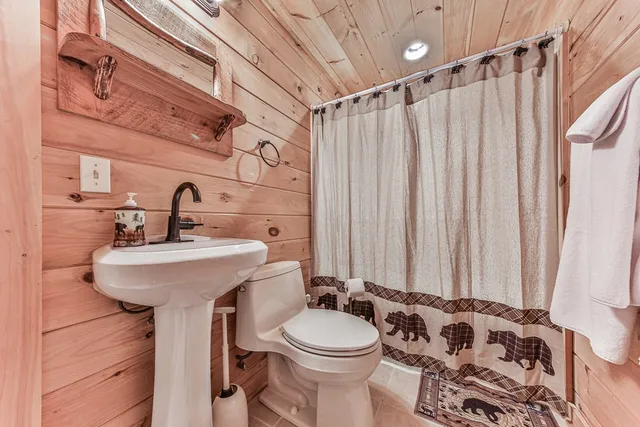 $7,000 | 88 Black Gum Lane, Blue Ridge, GA 30513