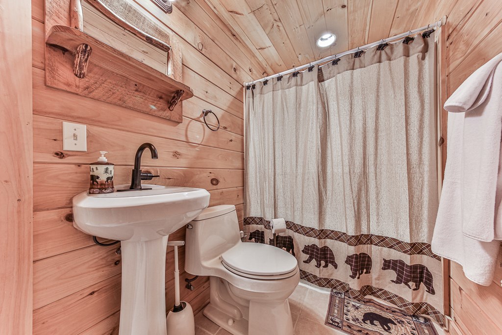 88 Black Gum Lane Blue Ridge, GA 30513 - Photo 45 of 85 a bathroom with a sink a toilet and shower curtain