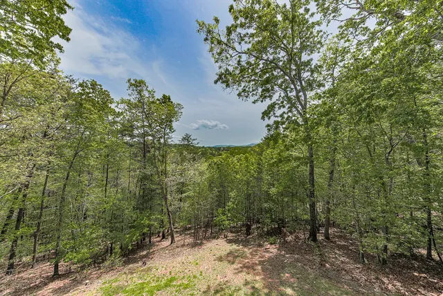 $7,000 | 88 Black Gum Lane, Blue Ridge, GA 30513