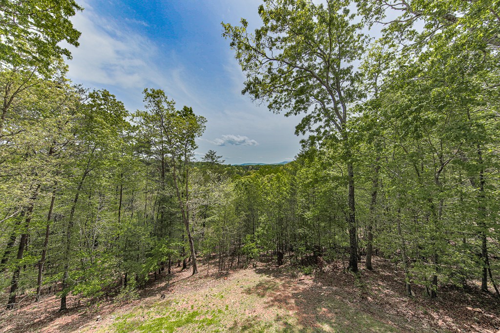 88 Black Gum Lane Blue Ridge, GA 30513 - Photo 47 of 85