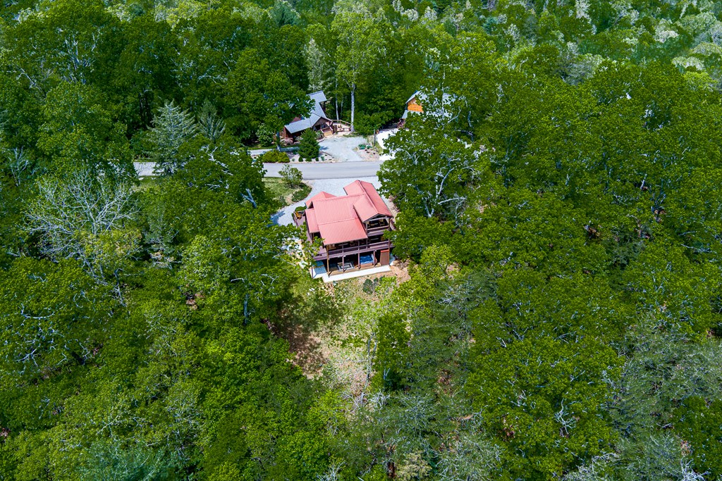 88 Black Gum Lane Blue Ridge, GA 30513 - Photo 58 of 85 an aerial view of a house with a yard