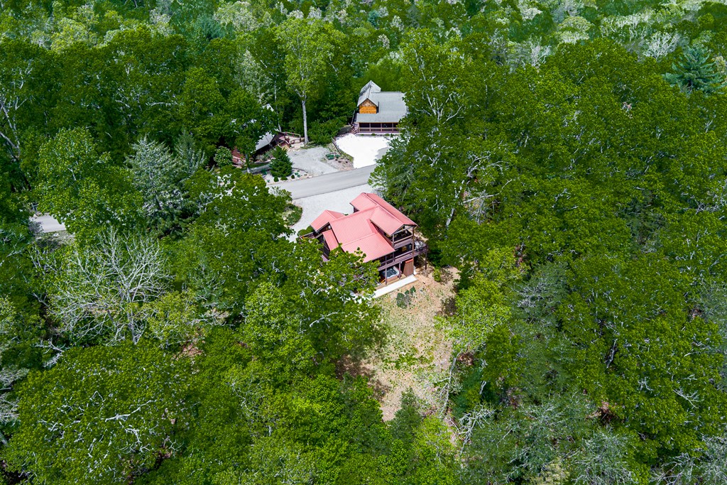 88 Black Gum Lane Blue Ridge, GA 30513 - Photo 59 of 85 a backyard of a house with outdoor seating and green space
