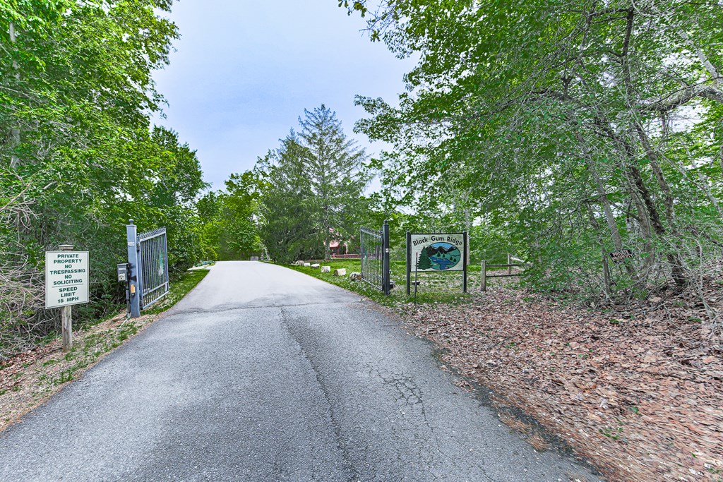 88 Black Gum Lane Blue Ridge, GA 30513 - Photo 63 of 85 a view of a house with a yard and large trees