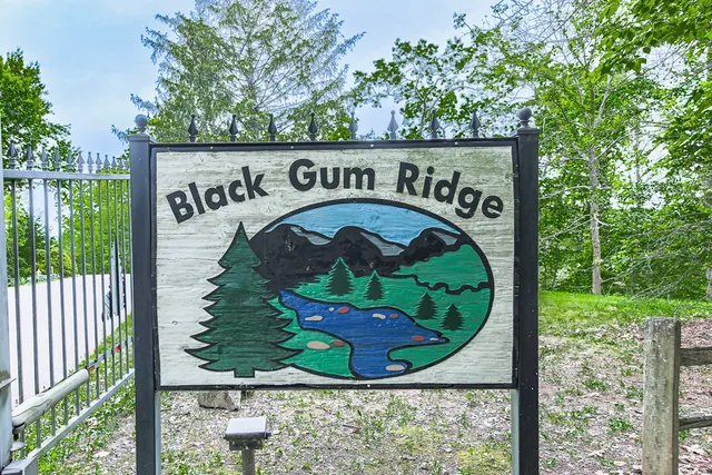 $7,000 | 88 Black Gum Lane, Blue Ridge, GA 30513