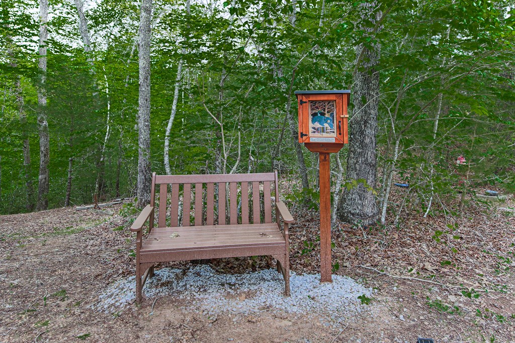 88 Black Gum Lane Blue Ridge, GA 30513 - Photo 65 of 85 a view of a bench in the garden
