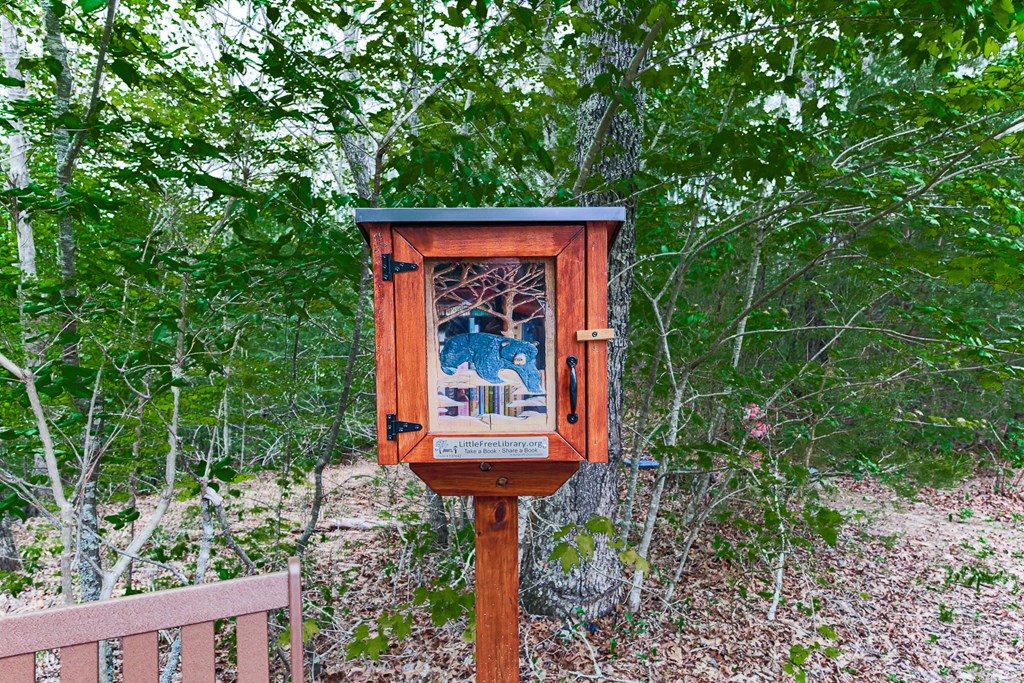 88 Black Gum Lane Blue Ridge, GA 30513 - Photo 66 of 85