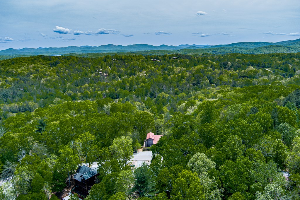 88 Black Gum Lane Blue Ridge, GA 30513 - Photo 67 of 85