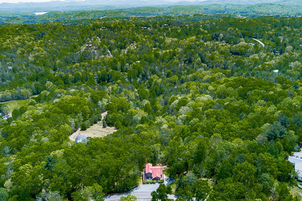 88 Black Gum Lane Blue Ridge, GA 30513 - Photo 68 of 85