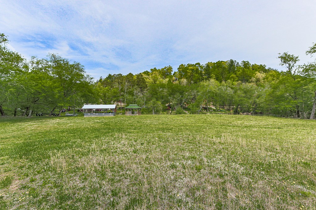 88 Black Gum Lane Blue Ridge, GA 30513 - Photo 72 of 85 a view of outdoor space with mountain view