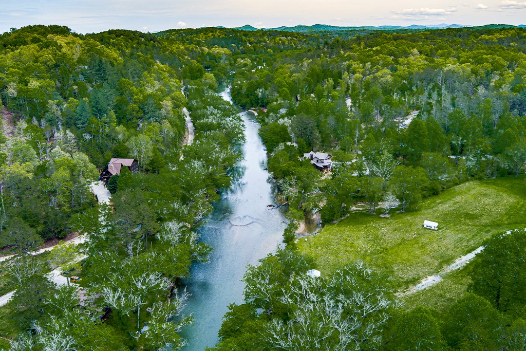88 Black Gum Lane Blue Ridge, GA 30513 - Photo 84 of 85 a view of a lush green space with sea