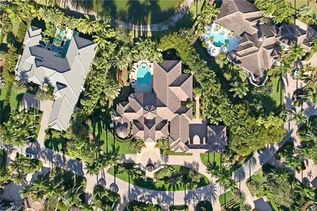 a plant that is in a garden