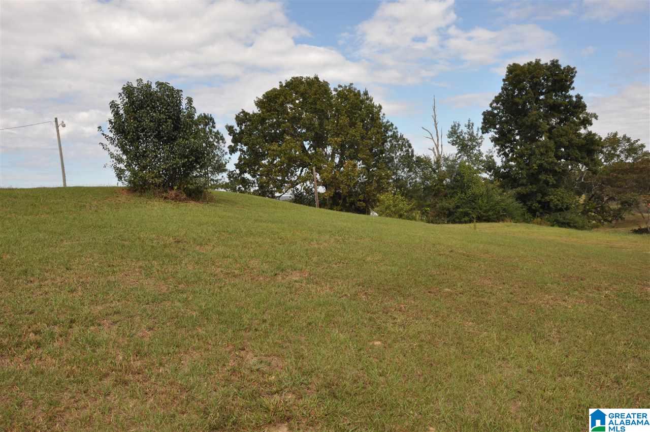 135 Loil Abbott Road Hayden, AL 35079 - Photo 23 of 25