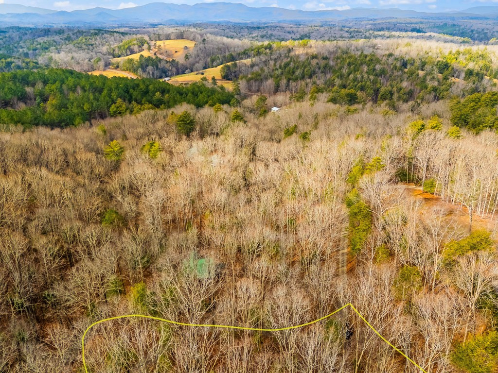 1.03-ac Guy Eller Road Murphy, NC 28906 - Photo 5 of 27
