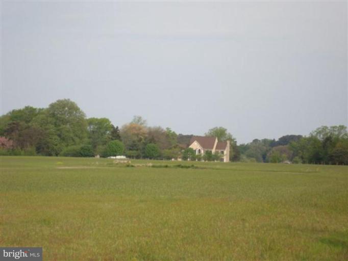2820 Bennett Point Road Queenstown, MD 21658 - Photo 11 of 16 View from the field out front