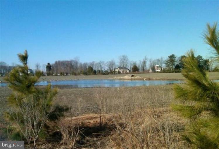 2820 Bennett Point Road Queenstown, MD 21658 - Photo 12 of 16 Pond out in the field