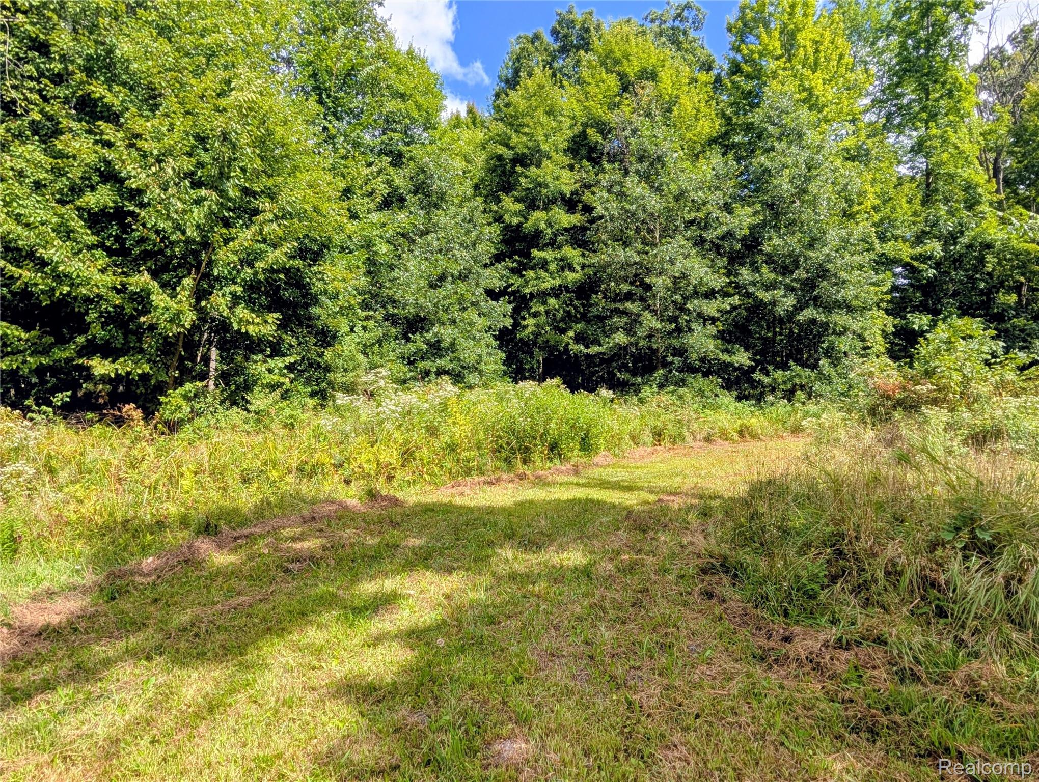 0 South Maywood Road Ashley, MI 48806 - Photo 6 of 32 PXL_20250829_182305953.MP~2.jpg