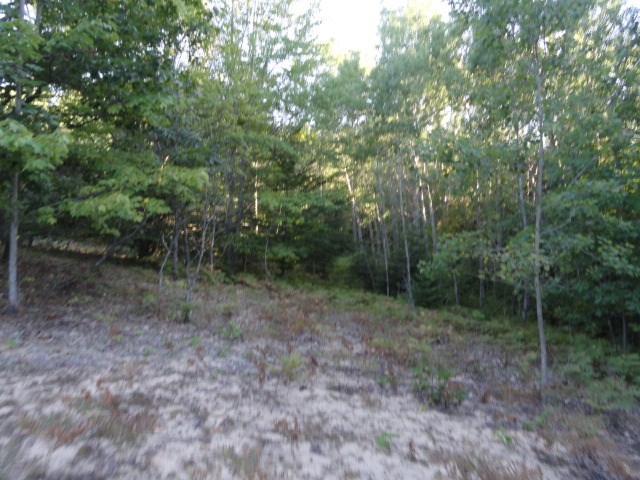 5670 Powers Road Alanson, MI 49706 - Photo 9 of 38 1852708-8.JPG