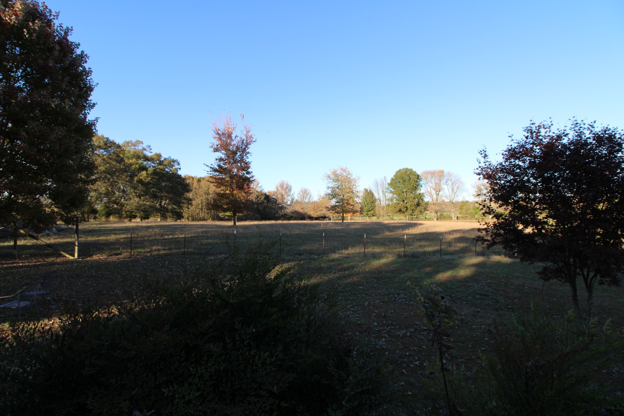 248 West Hester Road Cottontown, TN 37048 - Photo 3 of 22 a view of street