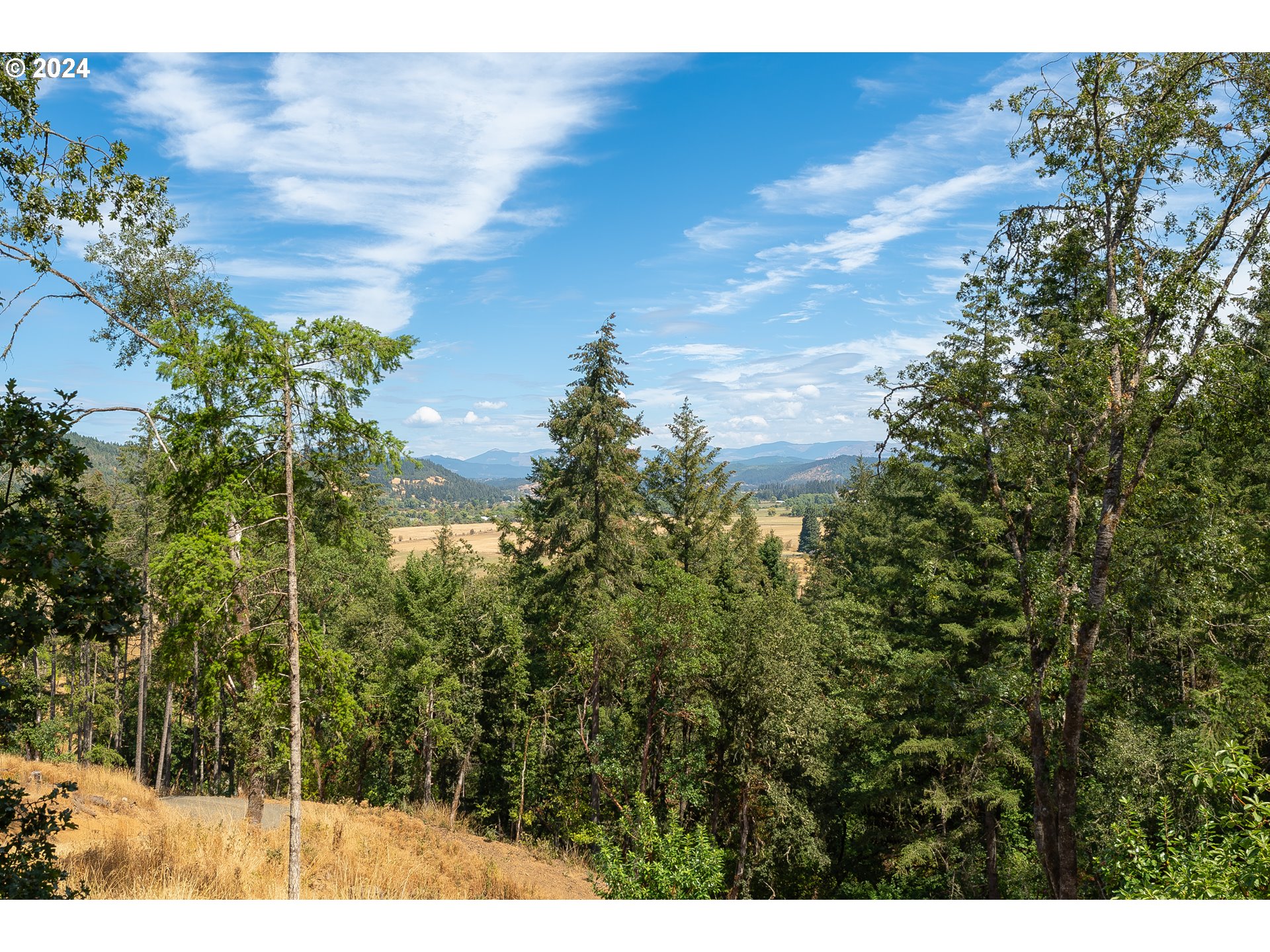 1464 Southside Road Sutherlin, OR 97479 - Photo 29 of 41 Yard