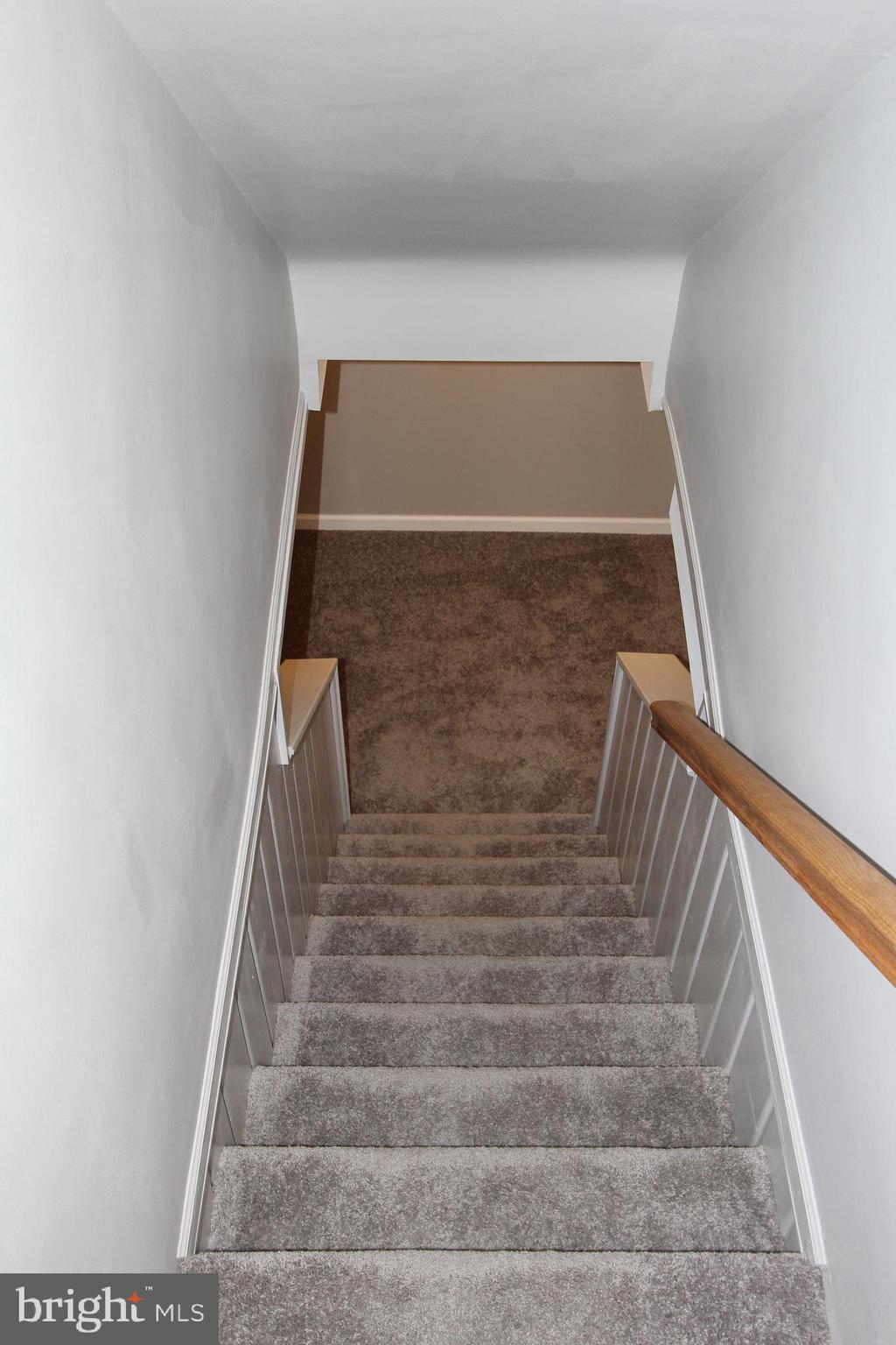 9108 Eton Road Silver Spring, MD 20901 - Photo 27 of 43 Newly-carpeted stairwell to refreshed basement.