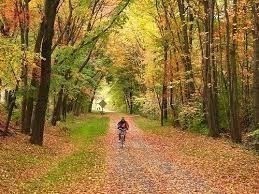 30 View Avenue, Unit A Northampton, MA 01060 - Photo 9 of 14