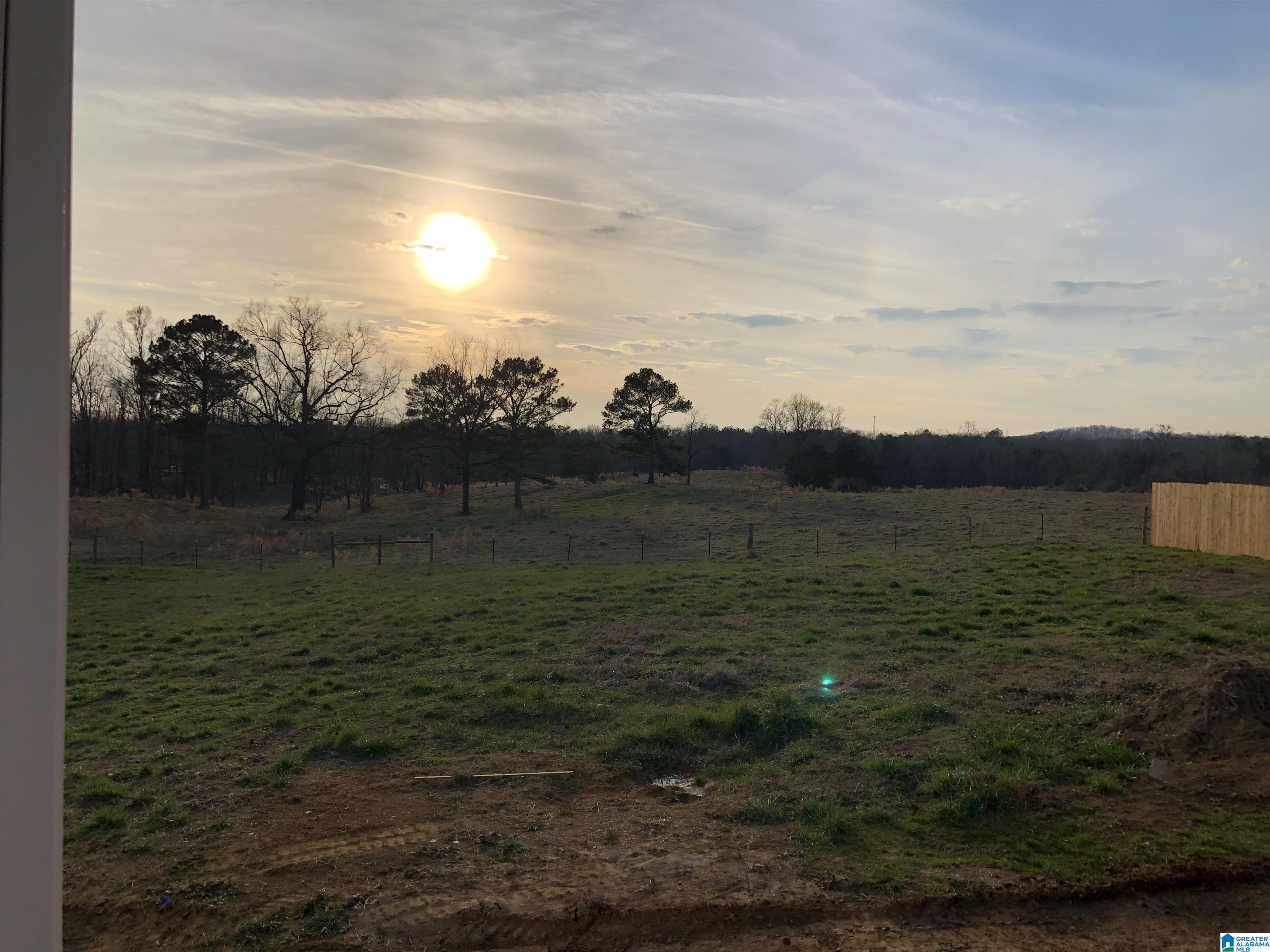 135 Grants Road Ohatchee, AL 36271 - Photo 11 of 13