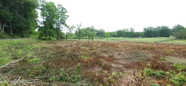 a view of an outdoor space and a yard