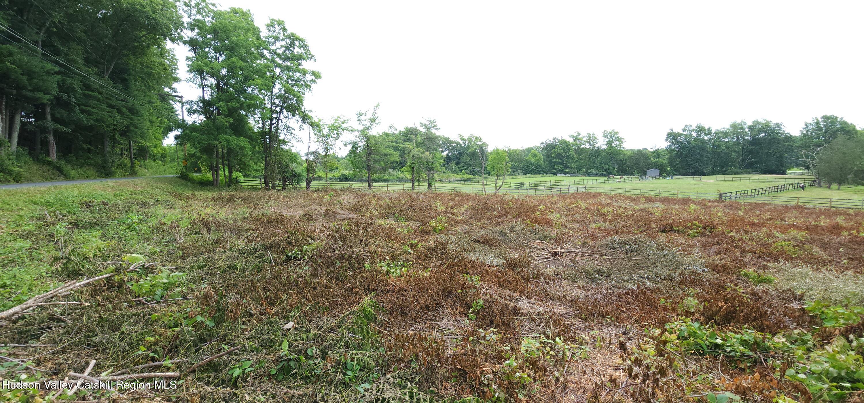 371 Churchland Road Saugerties, NY 12477 - Photo 3 of 7 a view of an outdoor space and a yard