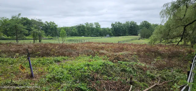 a view of outdoor space with trees all around