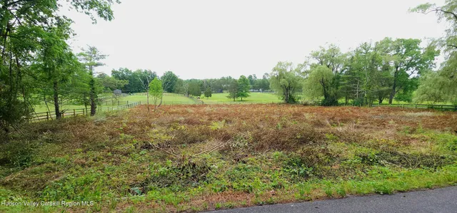 a view of dirt field with trees