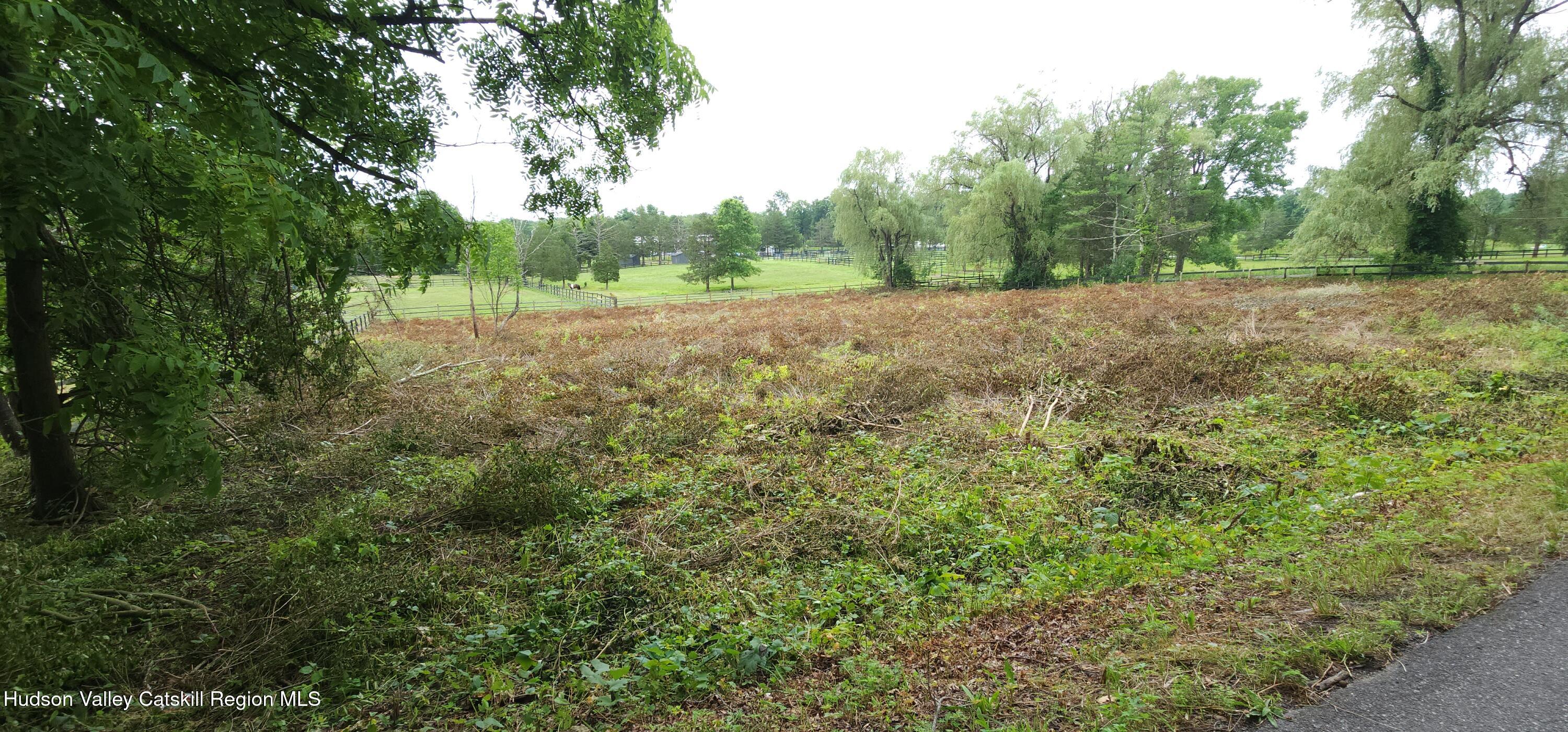 371 Churchland Road Saugerties, NY 12477 - Photo 7 of 7 a view of a field with trees in background