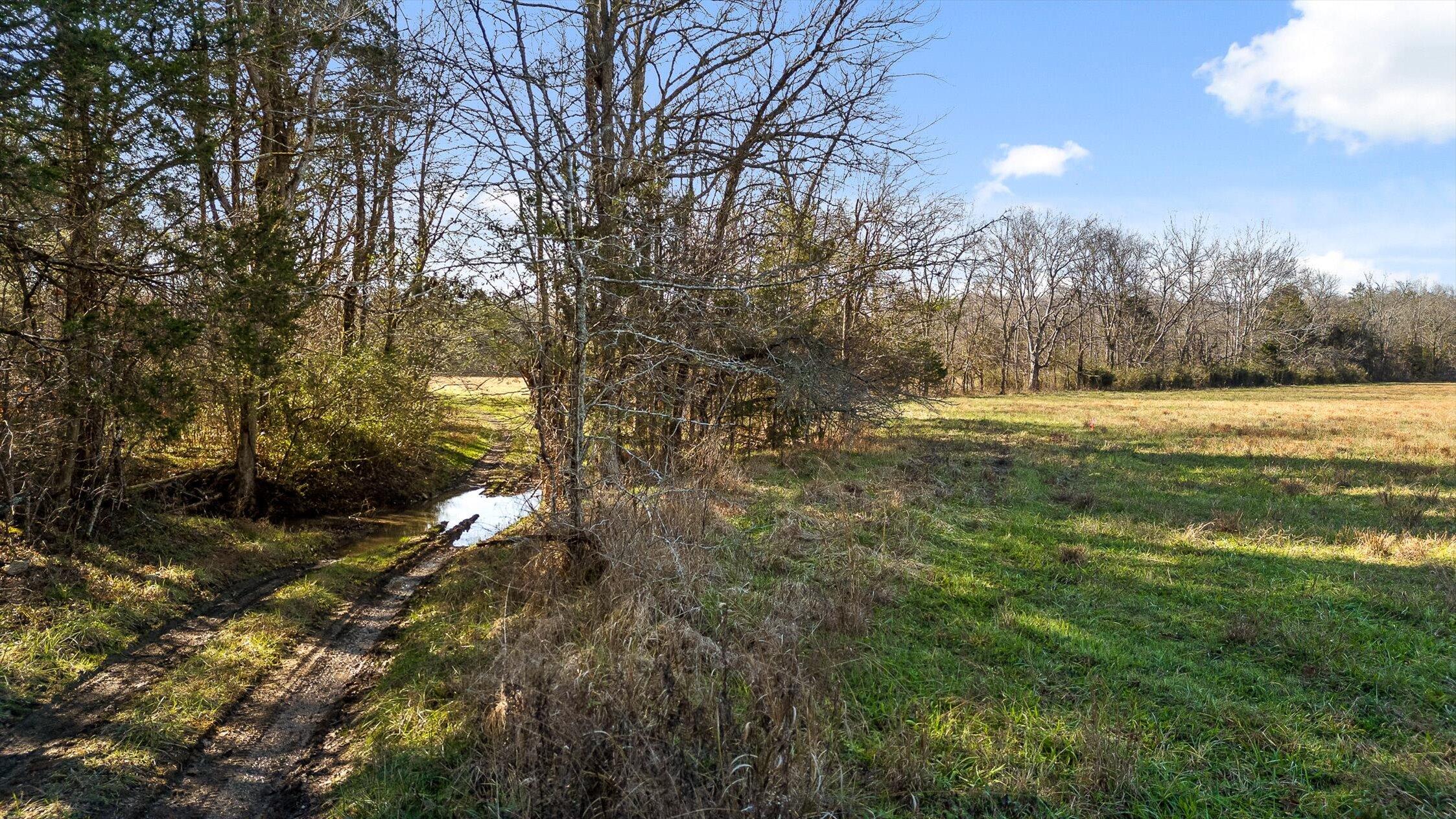 0 Brock Road Chickamauga, GA 30707 - Photo 6 of 15 Drive to the back of the property