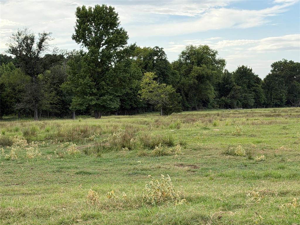 225 Farm To Market Road Pittsburg, TX 75686 - Photo 14 of 19 Gallery Image 14