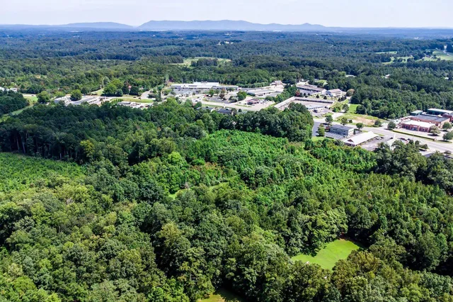 a view of a lush green hillside and houses